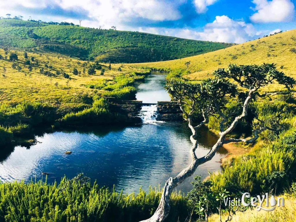 Nuwara Eliya